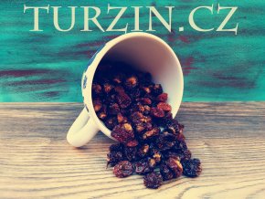 Turzin Mochyně peruánská Physallis