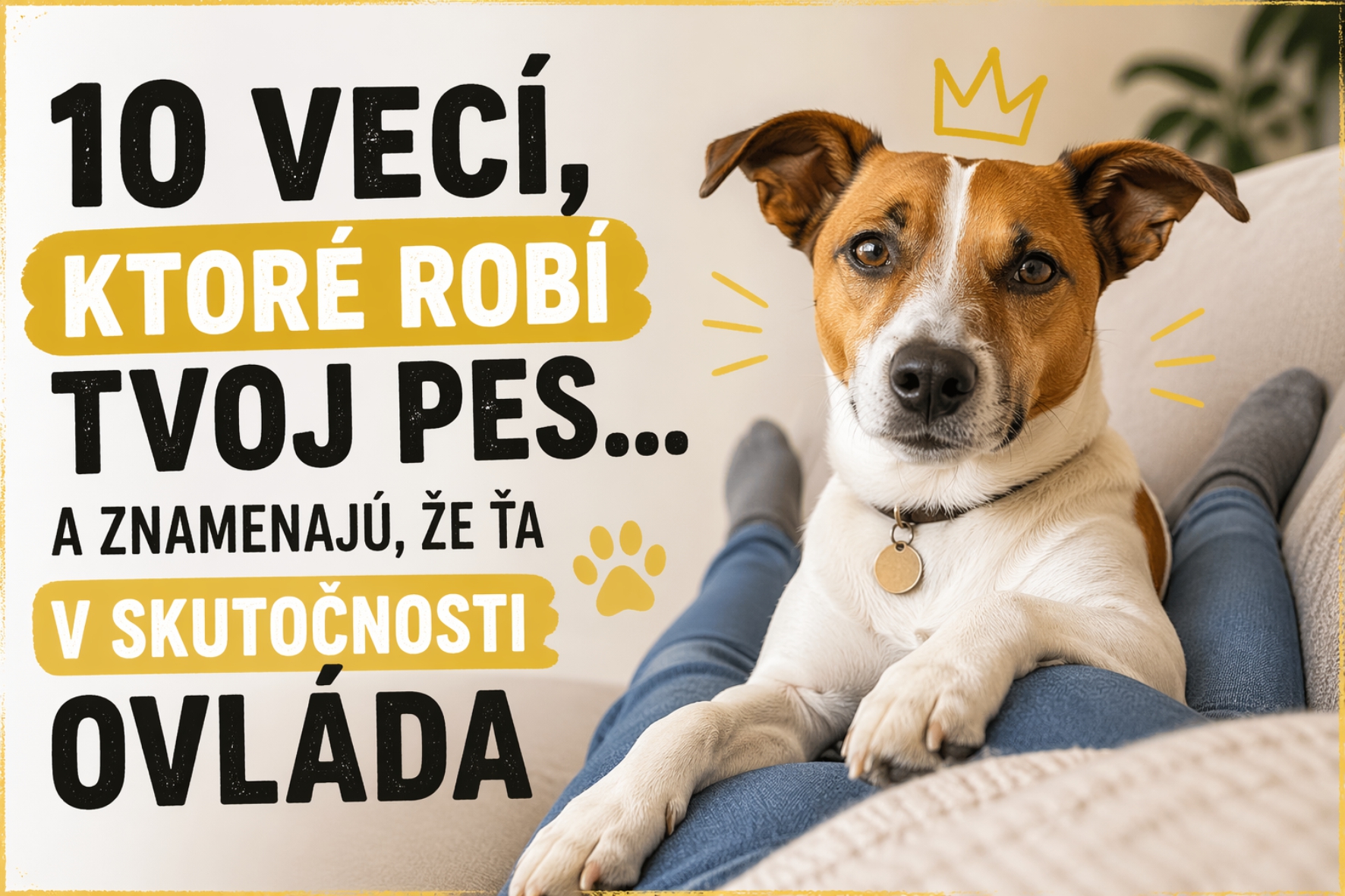 10 vecí, ktoré robí tvoj pes… a znamenajú, že ťa v skutočnosti ovláda