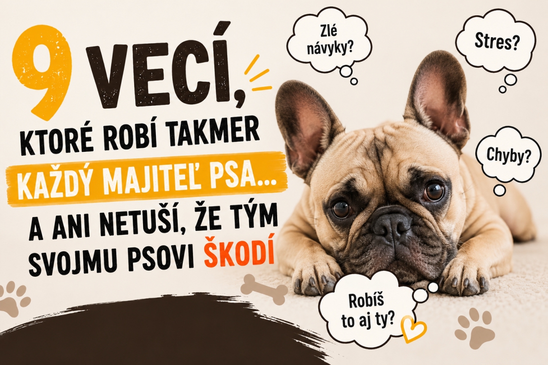 9 vecí, ktoré robí takmer každý majiteľ psa... a ani netuší, že tým svojmu psovi škodí