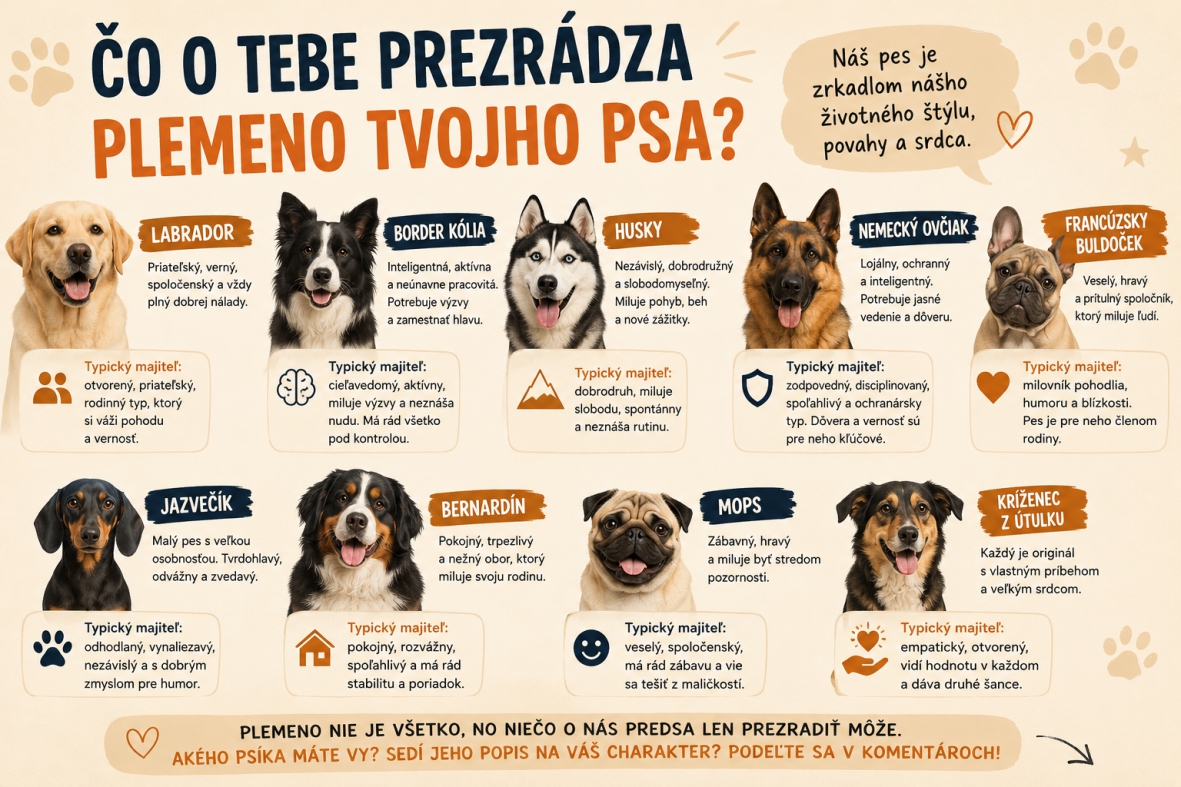 Čo o tebe prezrádza plemeno tvojho psa? Možno viac, než si myslíš