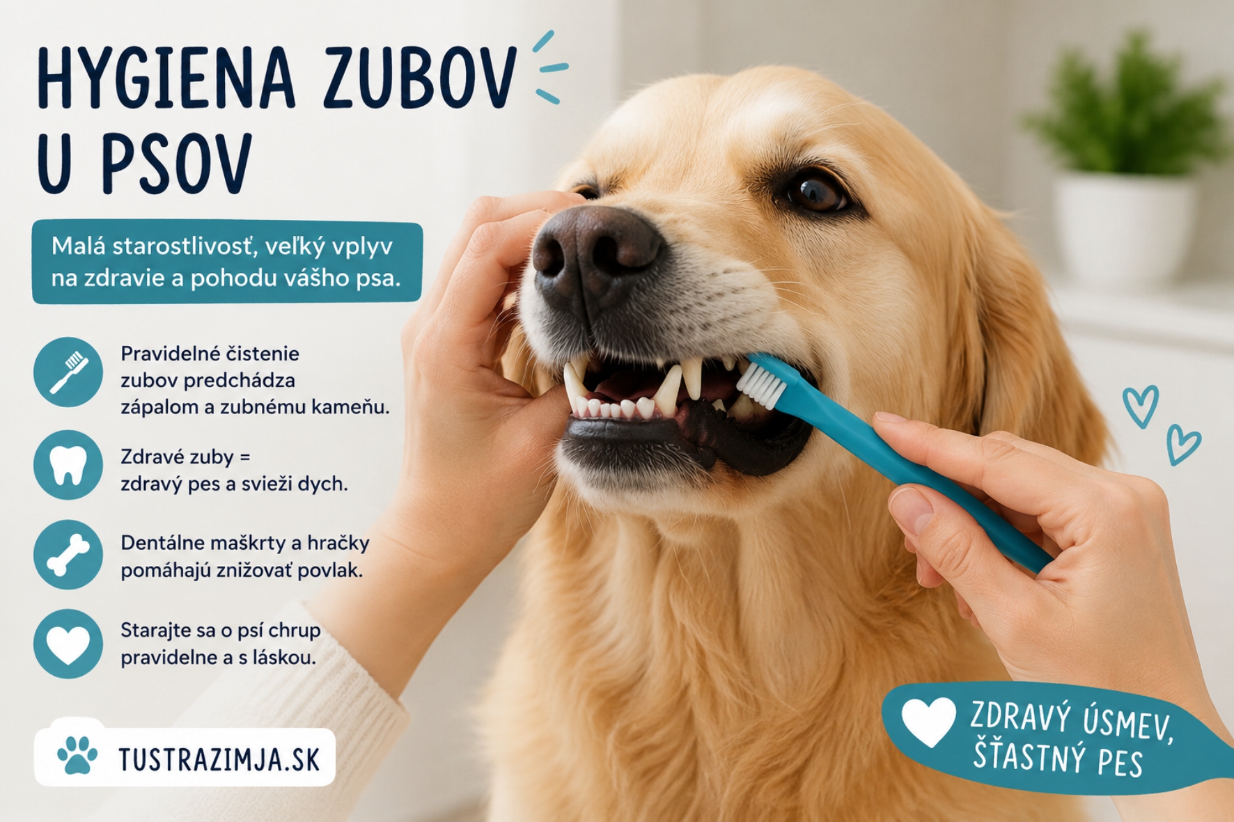 Hygiena zubov u psov: Malá starostlivosť, ktorá môže predĺžiť život vášmu psovi