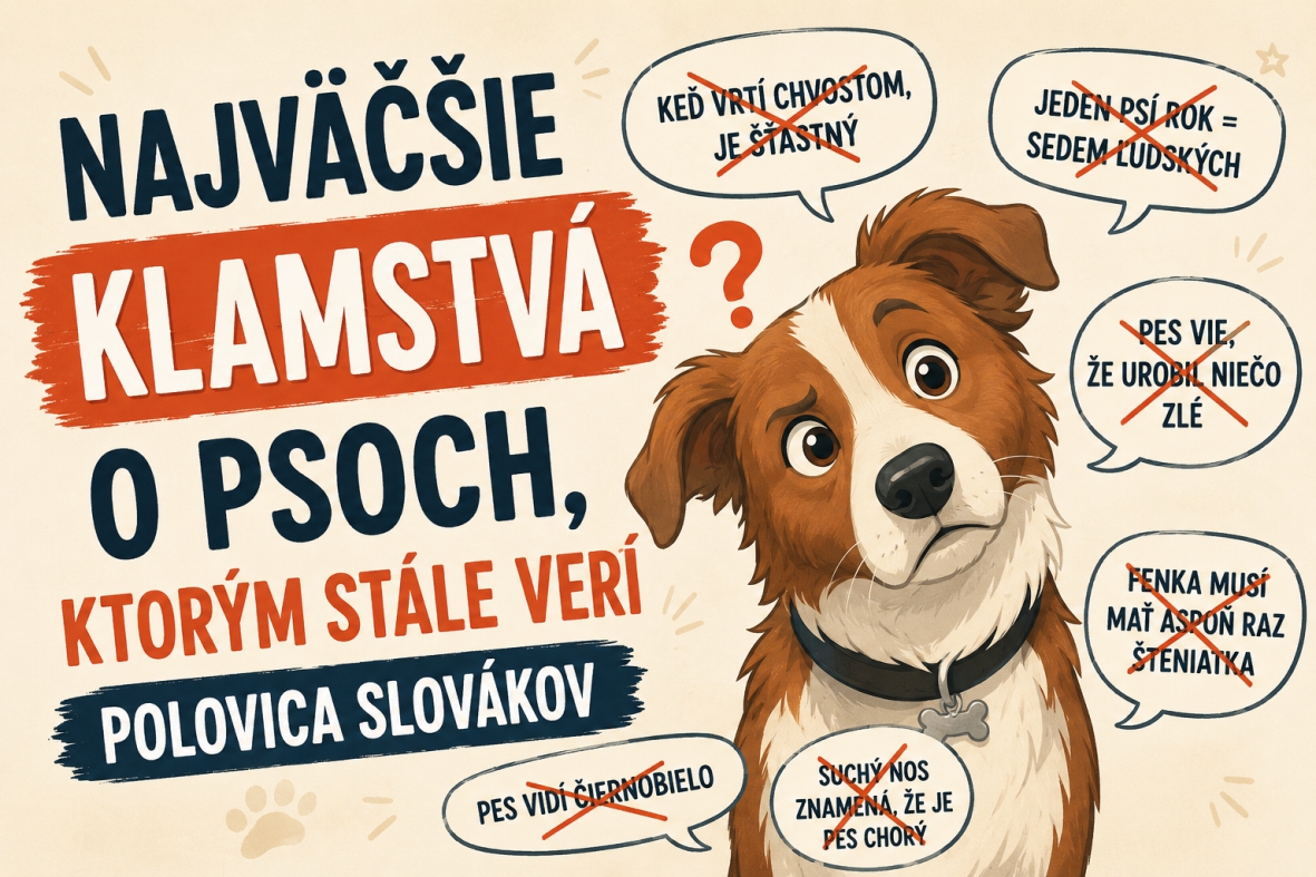Najväčšie klamstvá o psoch, ktorým stále verí polovica Slovákov
