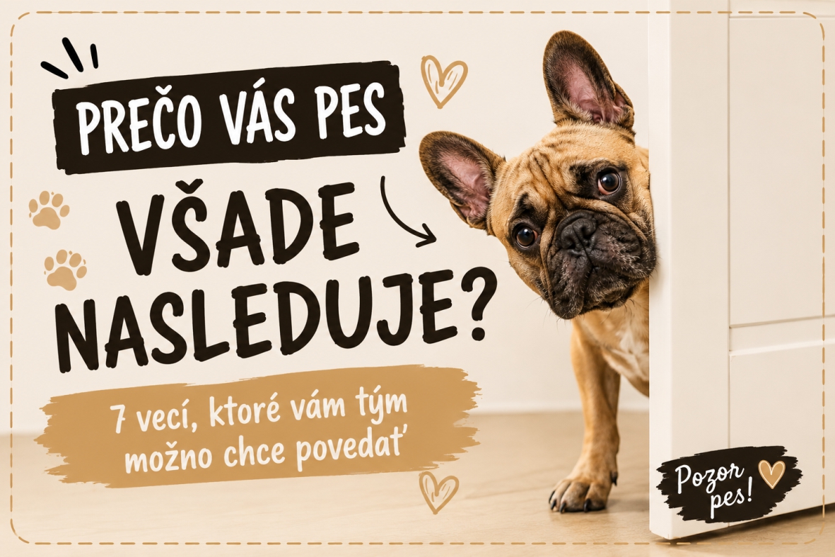 Prečo vás pes všade nasleduje? Možno vám tým chce niečo povedať