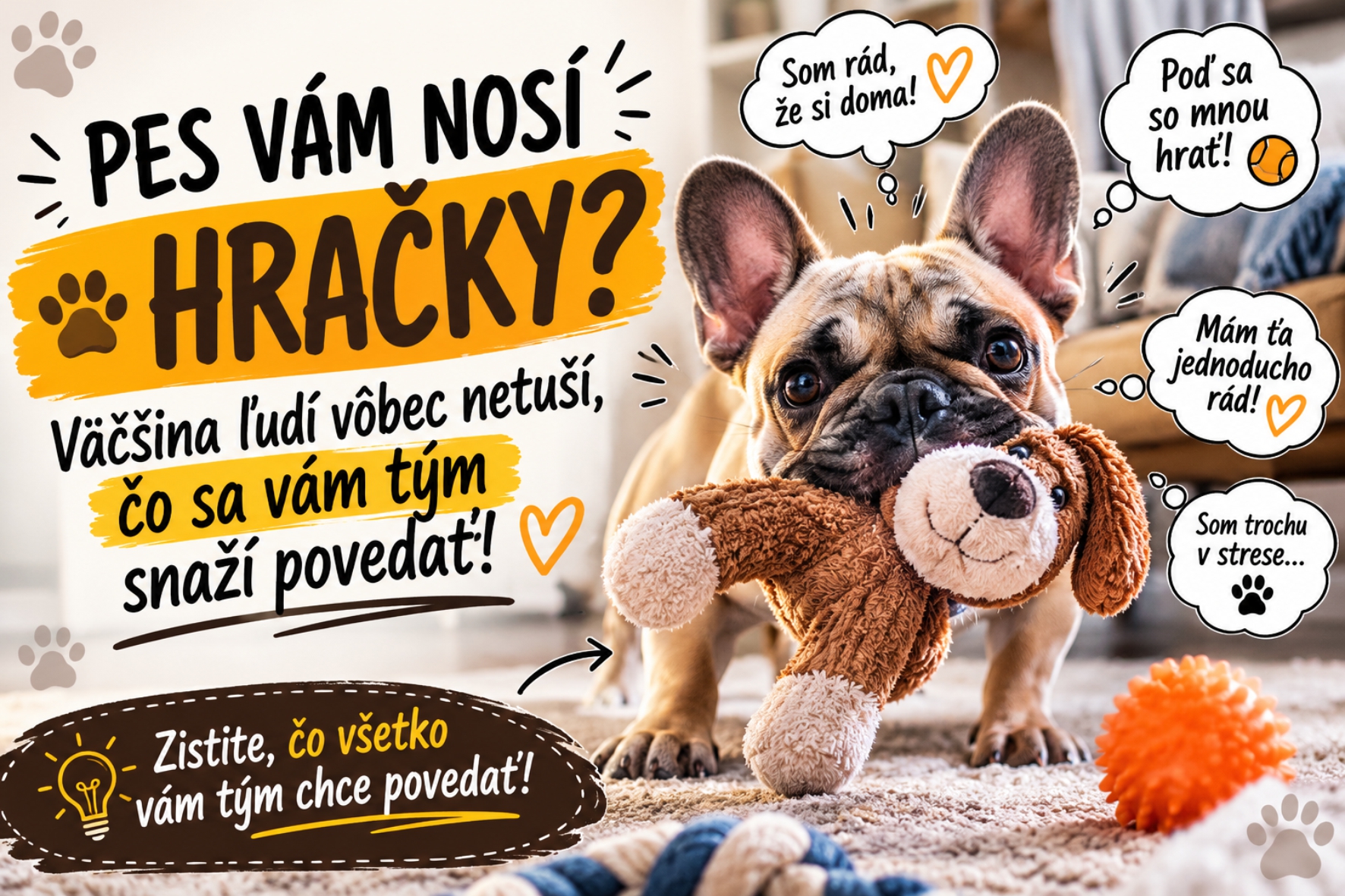 Pes vám nosí hračky? Možno vám tým hovorí niečo, čo ste si doteraz vôbec neuvedomili