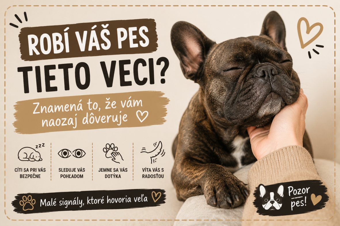 Robí váš pes tieto veci? Znamená to, že vám naozaj dôveruje