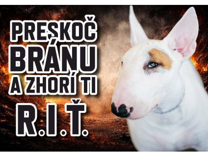 preskocbranu bulterier