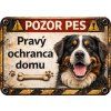 pozorpes pravyochranca TS PP 0011