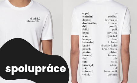 Spolupráce