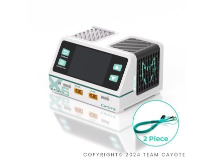 CYEG1021