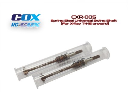 CXR 005 R3 33675 zoom