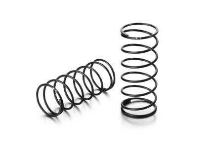 front spring set l 42mm 2 dots 2