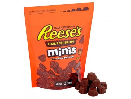 Reese's Mini Cup 226g