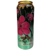 Arizona Spicy Green Tea with Mike's Hot Honey 650ml