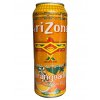 Arizona Orangeade 680ml