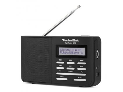 TechniSat Digit Radio 210