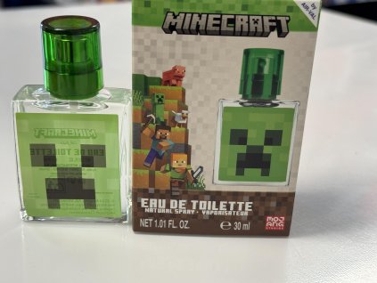 minecraft I
