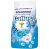 gallus uni 8
