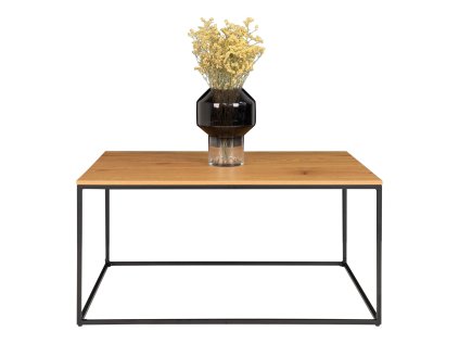 Konferenční stolek Vita - Konferenční stolek, černý, černý rám 60x90x45 cm (Barva černá)