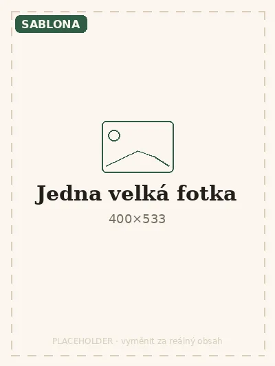 Šablona: jedna velká fotka
