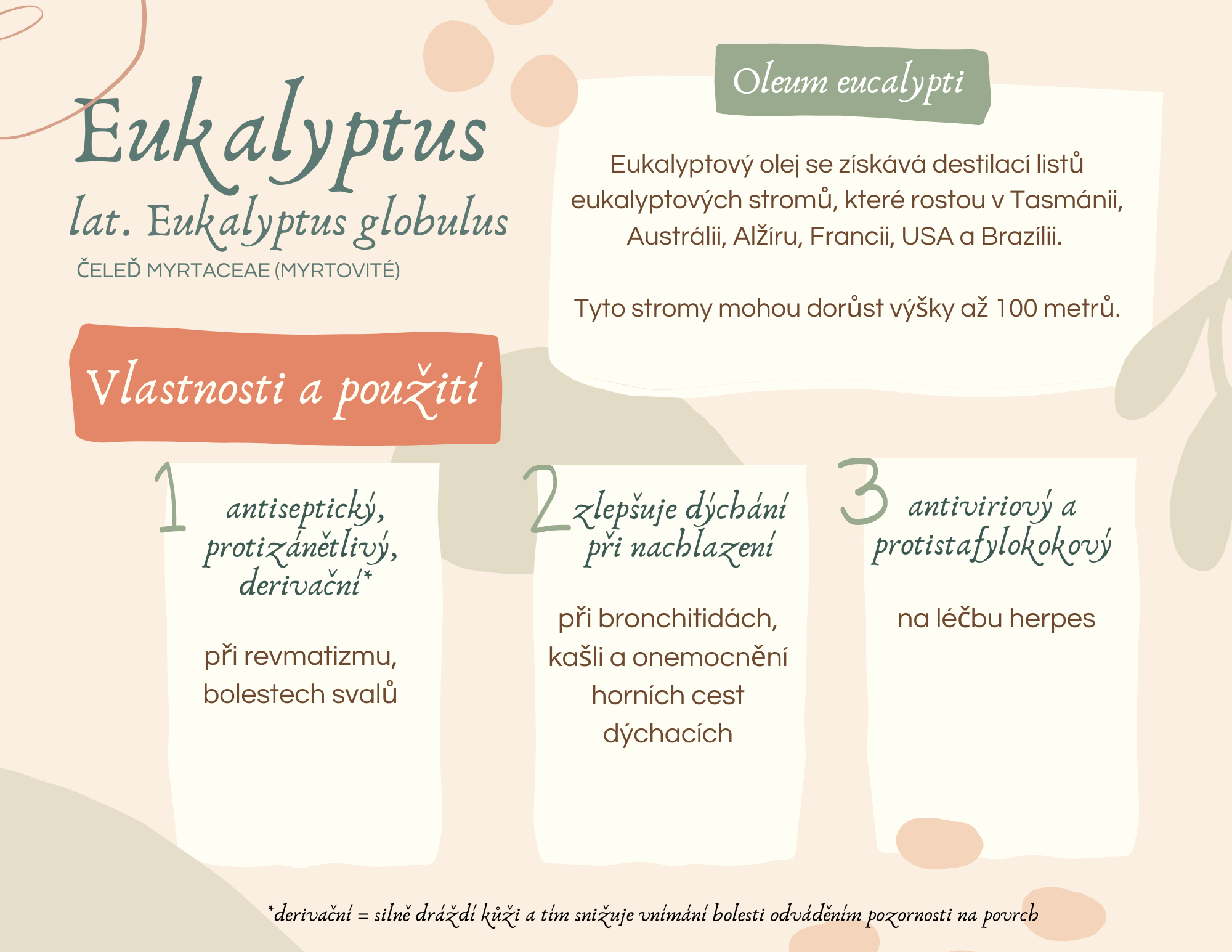 eukalyptus