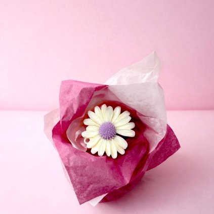 banner home page (Příspěvek na Instagramu) (6)