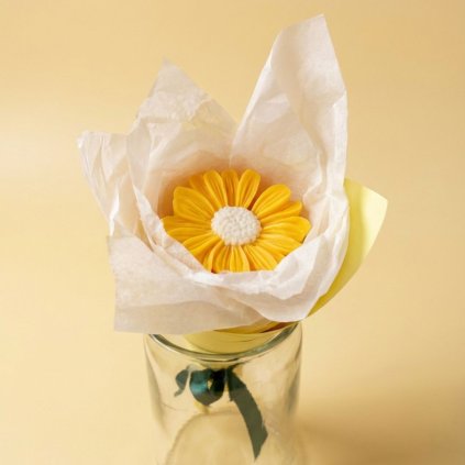 Voňavá sedmikráska - žlutá