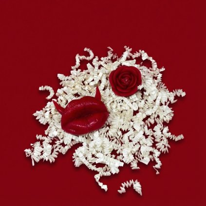 TVOJE SVÍČKA 11 (10)