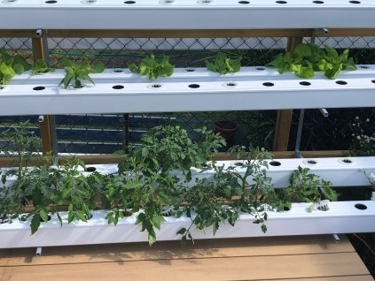 c2ec3f60 a541 481f acce 4a3a0730e10c