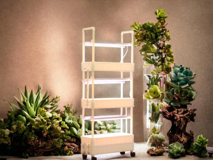 WhatsApp Image 2024 03 18 at 22.38.52