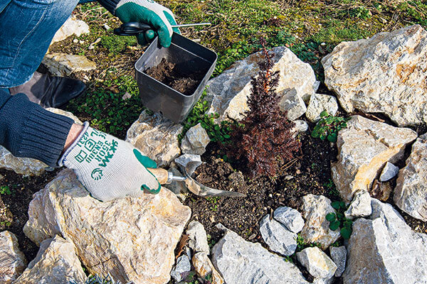 Úprava rastlín a pôdy v záhradnej skalke 
