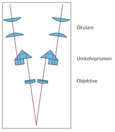 schéma stereomikroskopu