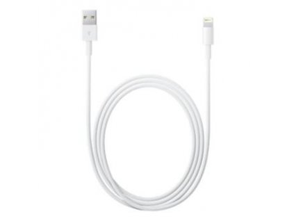 Apple Lightning to USB Cable (2m)