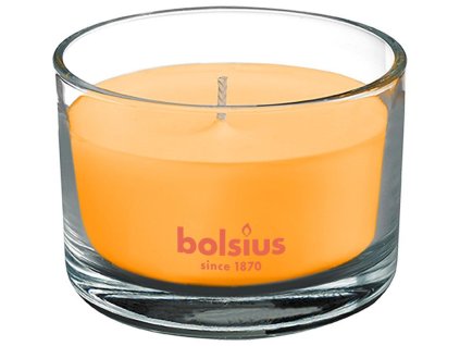 Sviečka do bytu bolsius Jar True Scents 63/90 mm, mango