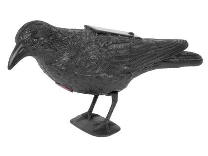 Plašič vtákov Havran čierny, solárny so zvukom