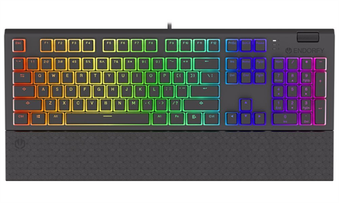 ENDORFY herná klávesnica Omnis Pudd.Kailh BL RGB /USB/ blue switch / drôtová / mechanická / US layout / čierna RGB