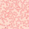 82889 82891 83010 83011 magus bio 250bl 50tl img 01