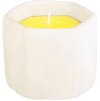 Sviečka Citronella, cement, 85 g, repelentná, 90x75 mm