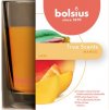 Sviečka Bolsius Jar True Scents 95/95 mm, vonná, mango, v skle