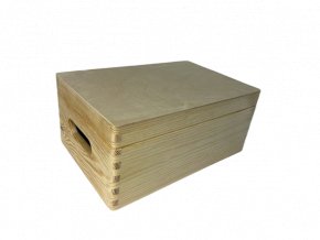 Malý úložný box s vekom 30x20 cm