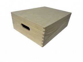 Stredný úložný box s vekom 40x30 cm
