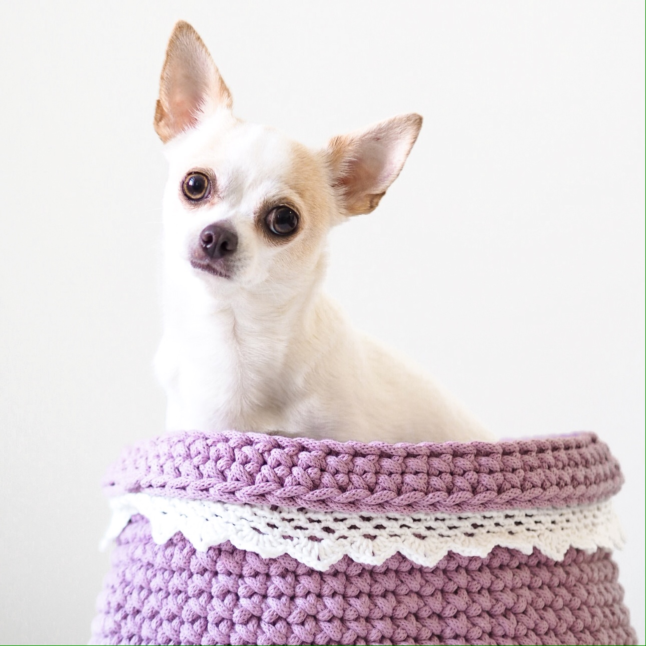 A0D58FCC-F506-4E49-BB5A-D14754DAEF48