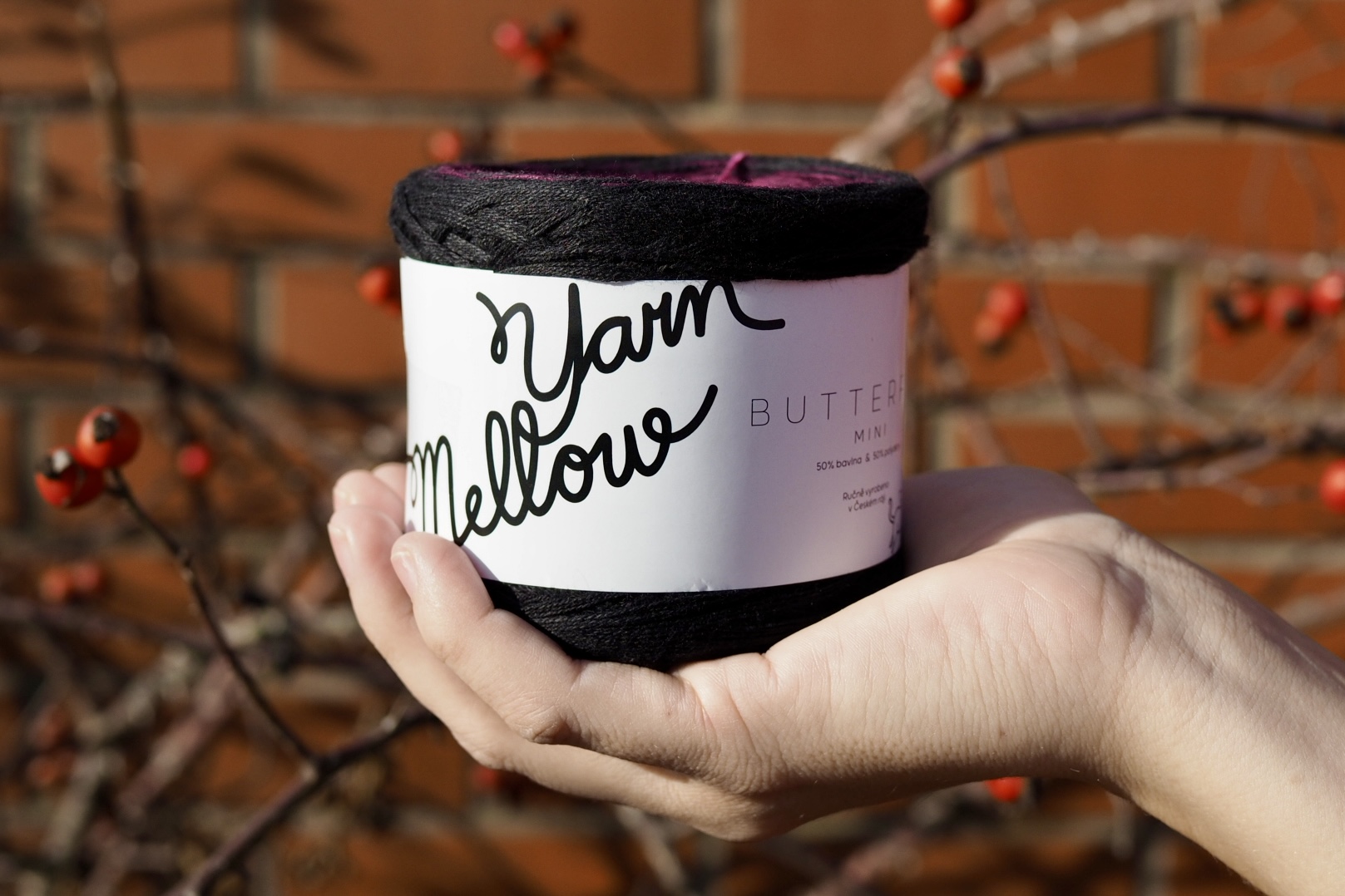 Butterfly – detail přechodů a struktury