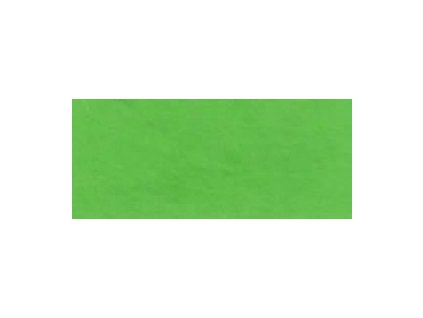Fotokarton 50 x 70 cm 300 g/m2 - 53 středně zelený