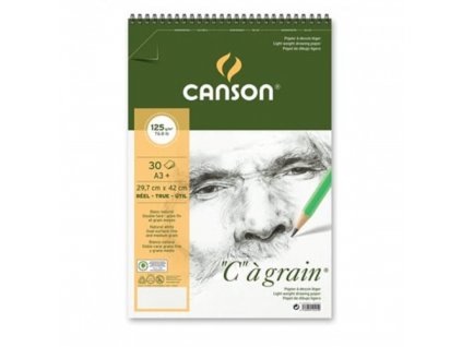 Skicák Canson Cagrain kroužkový blok A3 125g, 30 listů