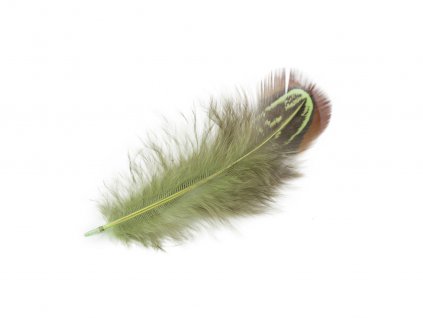 Bažantí peří délka 5-7 cm (Balení 1 sáček, Varianta 1 béžová tm.)