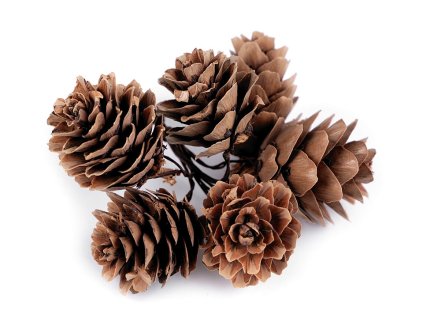 Přírodní šišky na drátku (Balení 6 ks, Varianta hnědá přírodní)