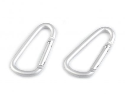 Kovová karabina 24x48 mm (Balení 2 ks, Varianta 2 stříbrná světlá)