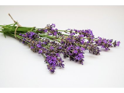lavender 5348153 1280