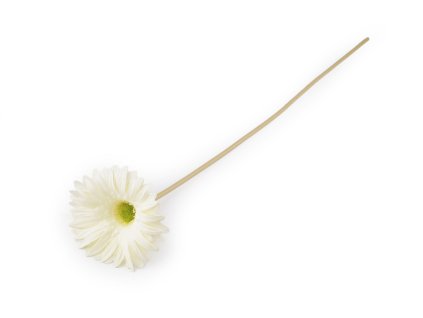 Umělá gerbera dlouhá (Balení 1 ks, Varianta 1 krémová světlá)