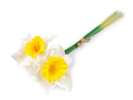 Umělý narcis svazek 3 ks (Balení 1 svaz., Varianta 3 žlutá)
